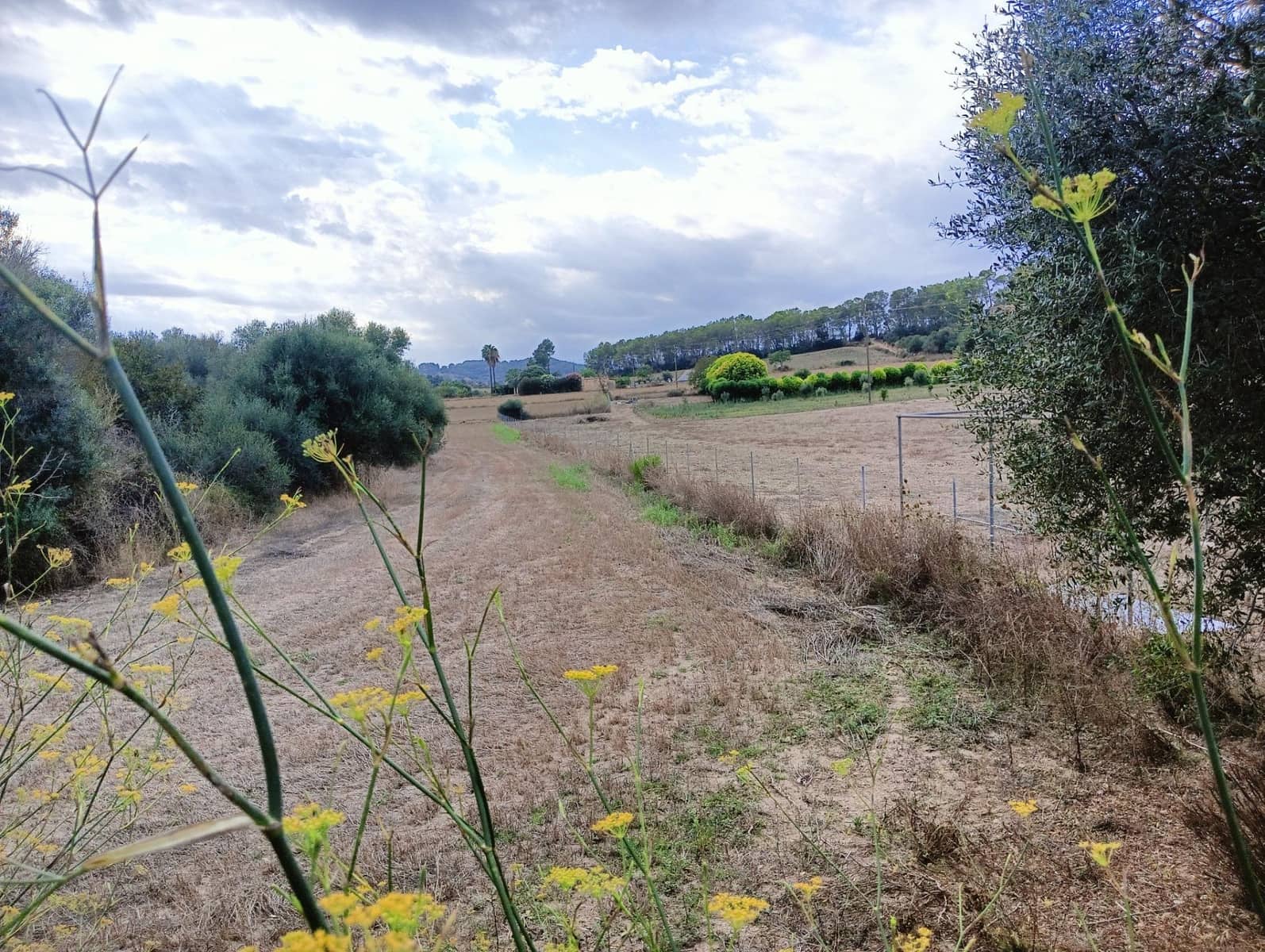 1 chambre Finca/Maison de Campagne à vendre à Sant Joan - 74 500 € (Ref: 8395247)