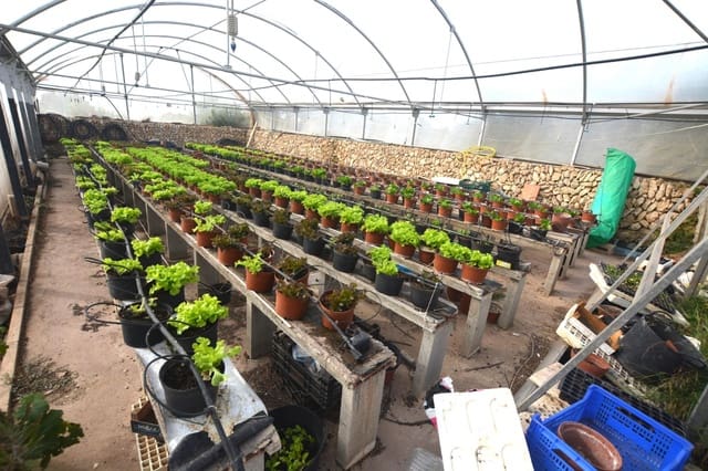 3 quarto Quinta/Casa Rural para venda em El Migjorn Gran / Es Migjorn Gran - 450 000 € (Ref: 8662893)