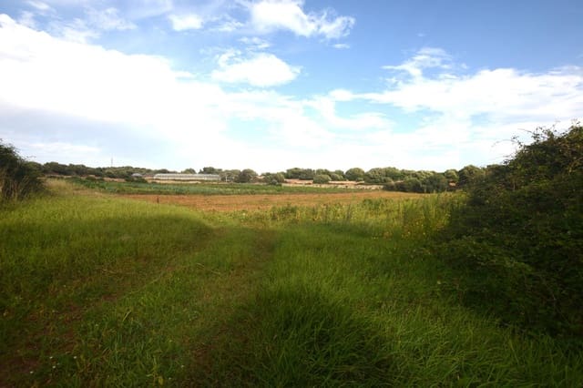 3 quarto Quinta/Casa Rural para venda em El Migjorn Gran / Es Migjorn Gran - 450 000 € (Ref: 8662893)