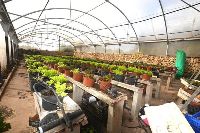 3 quarto Quinta/Casa Rural para venda em El Migjorn Gran / Es Migjorn Gran - 450 000 € (Ref: 8662893)