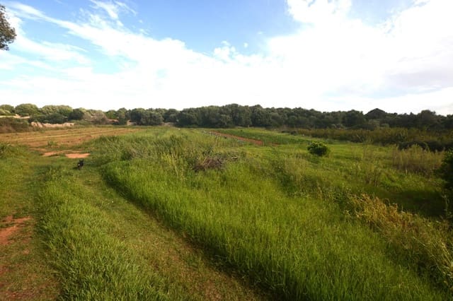 3 quarto Quinta/Casa Rural para venda em El Migjorn Gran / Es Migjorn Gran - 450 000 € (Ref: 8662893)