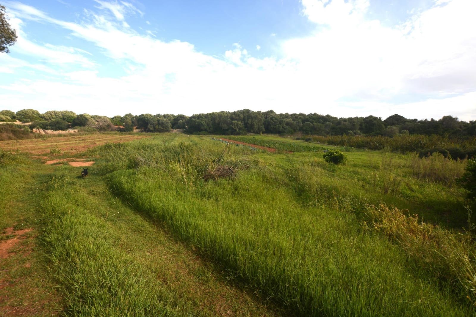 3 slaapkamer Finca/Landhuis te koop in El Migjorn Gran / Es Migjorn Gran - € 450.000 (Ref: 8662893)