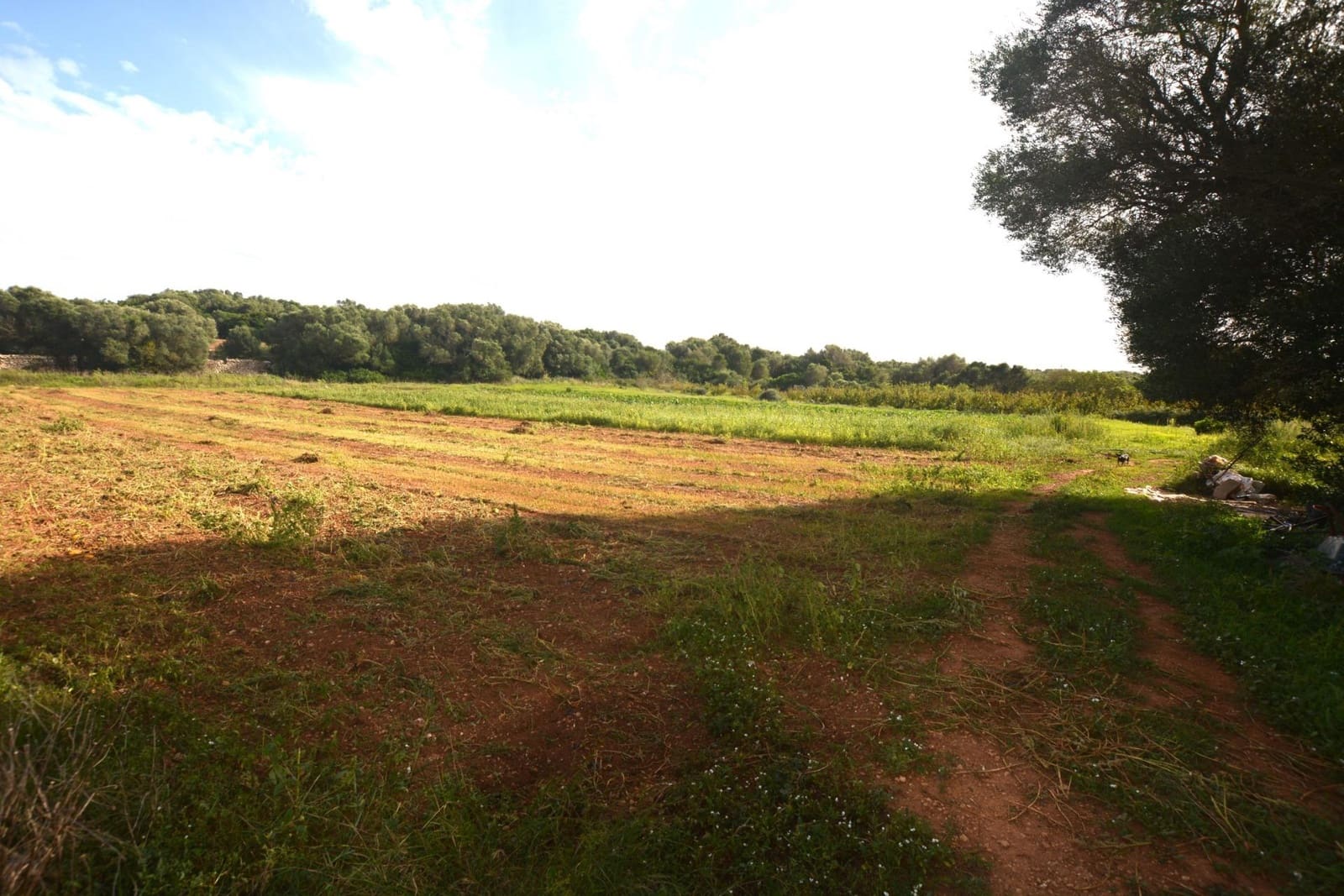 3 slaapkamer Finca/Landhuis te koop in El Migjorn Gran / Es Migjorn Gran - € 450.000 (Ref: 8662893)