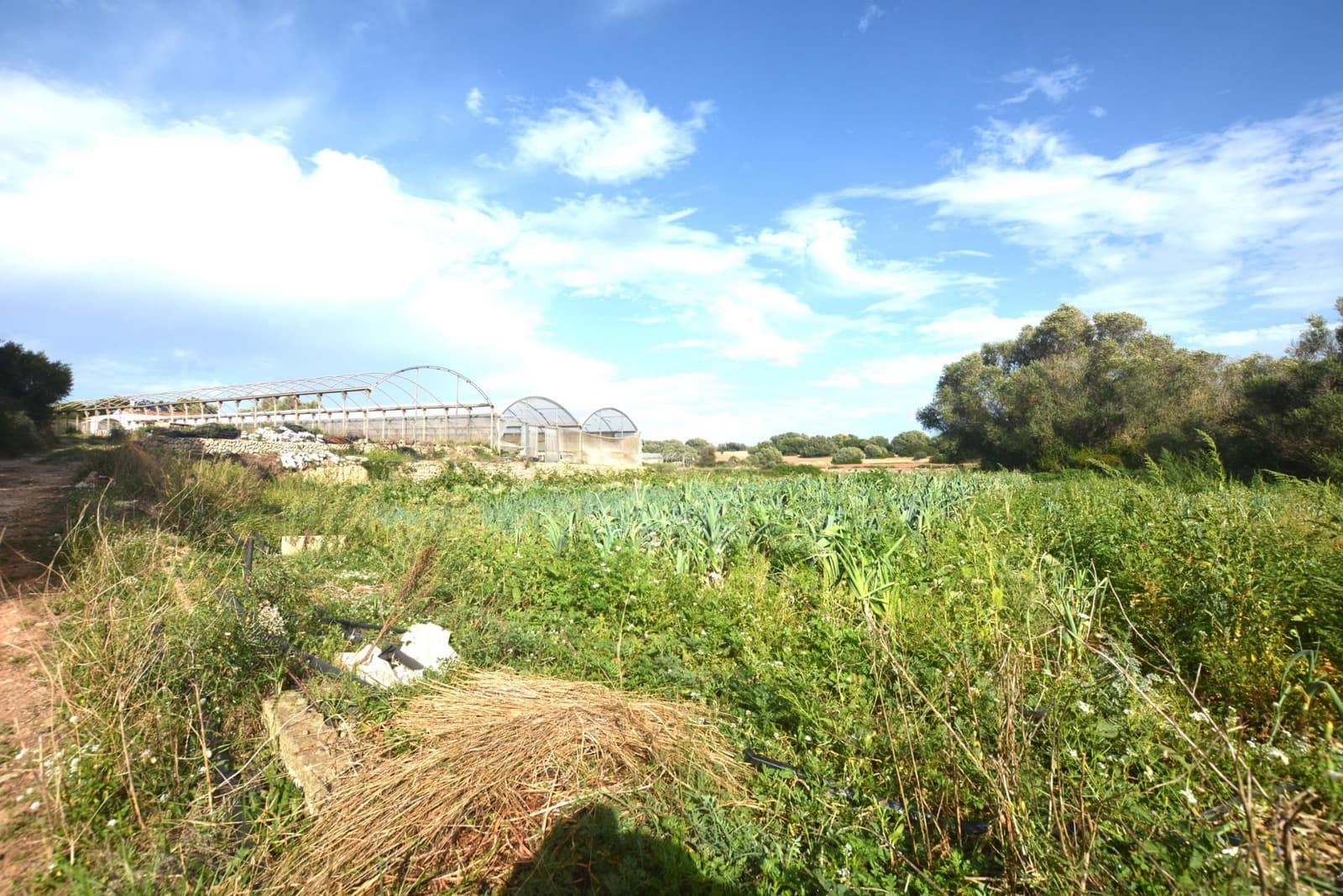 3 slaapkamer Finca/Landhuis te koop in El Migjorn Gran / Es Migjorn Gran - € 450.000 (Ref: 8662893)