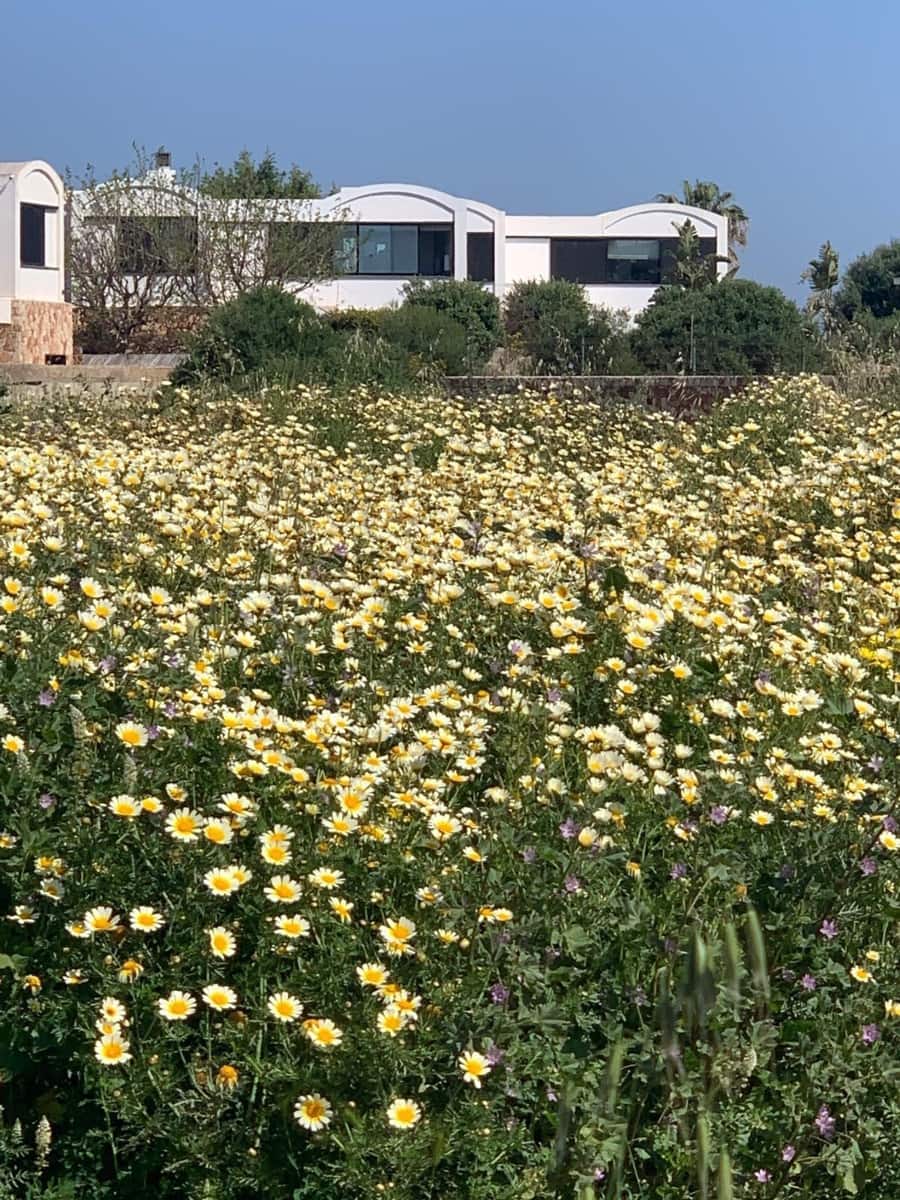 4 soveværelse Villa til salg i Cala Blanca med swimmingpool garage - € 890.000 (Ref: 8735646)