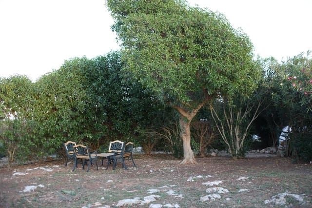 12 soverom Finca/Herregård til salgs i Mahón / Maó med svømmebasseng - € 6 500 000 (Ref: 8881512)