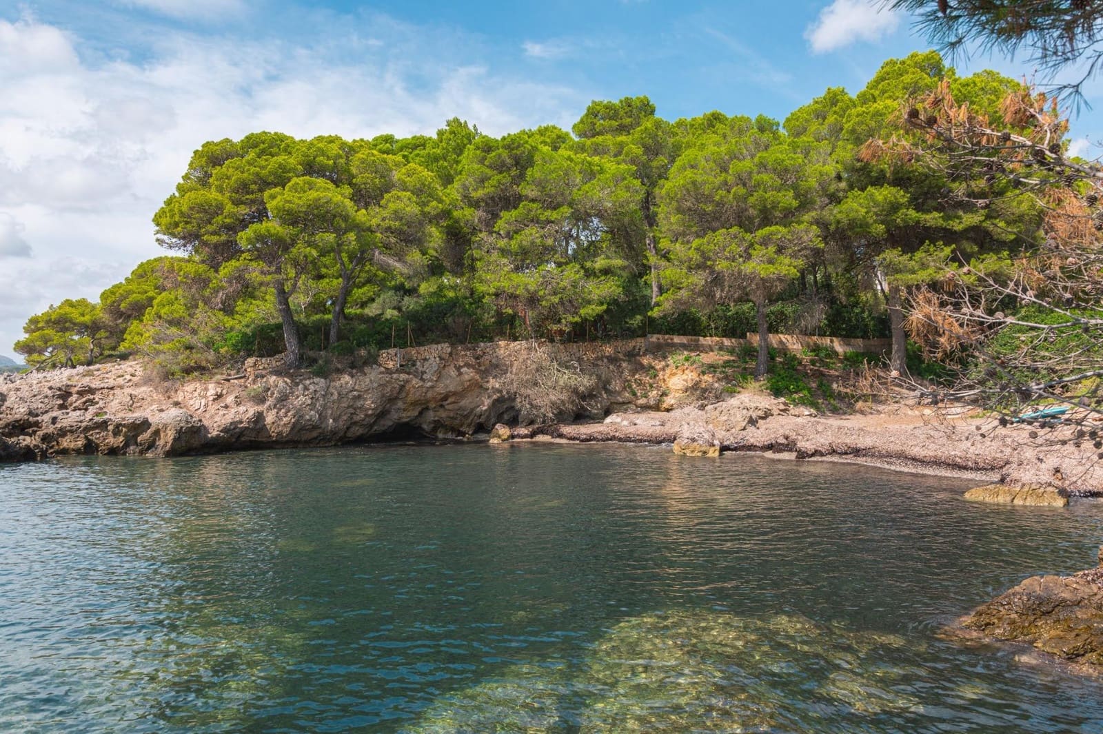 5 quarto Moradia para arrendar em Costa de los Pinos com piscina garagem - 6 000 € (Ref: 9059451)