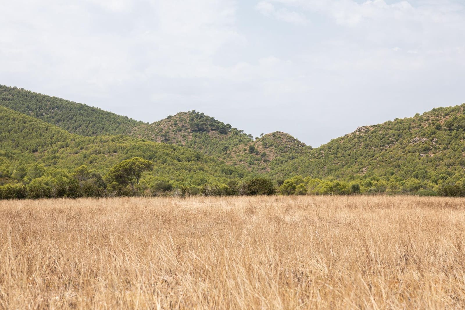 4 soverom Villa til salgs i Manacor med svømmebasseng garasje - € 1 950 000 (Ref: 9059455)