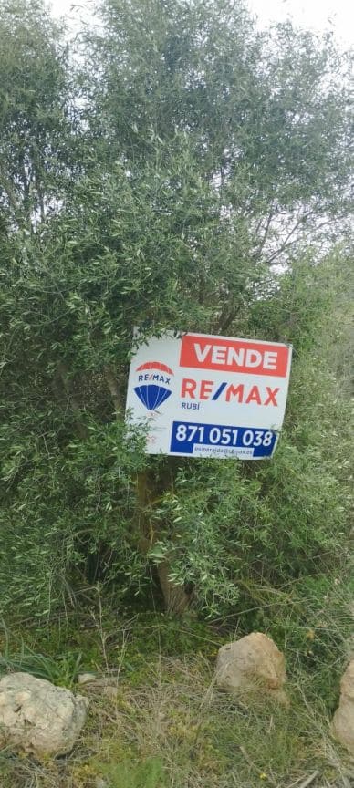 Terre non Aménagée à vendre à Felanitx - 33 000 € (Ref: 9059457)