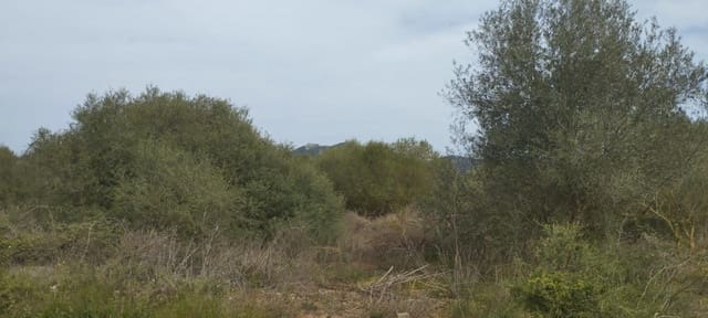 Undeveloped Land for sale in Felanitx - € 33,000 (Ref: 9059457)