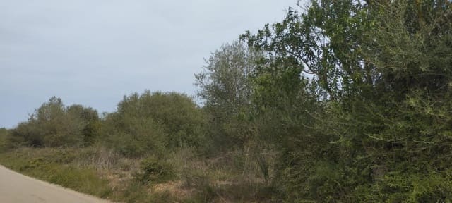 Undeveloped Land for sale in Felanitx - € 33,000 (Ref: 9059457)