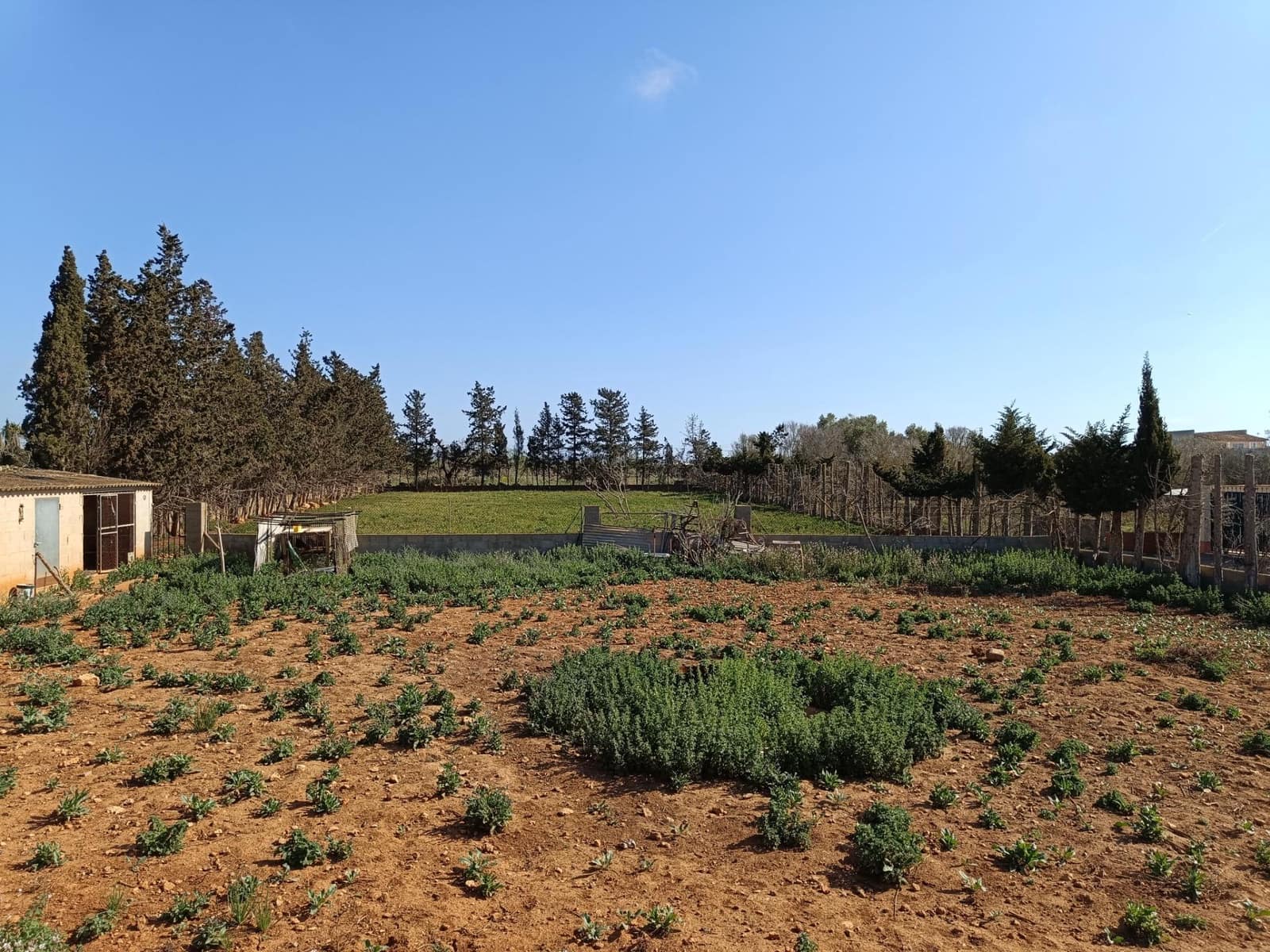 3 soveværelse Finca/Landehus til salg i Sant Llorenc des Cardassar med garage - € 450.000 (Ref: 9065301)