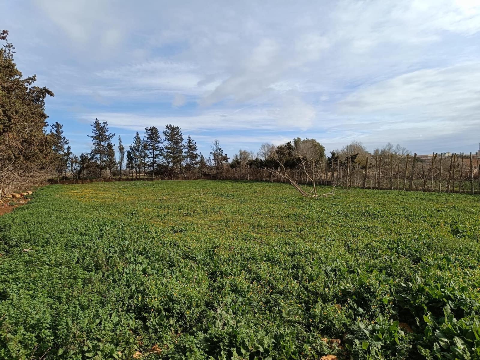 3 soveværelse Finca/Landehus til salg i Sant Llorenc des Cardassar med garage - € 450.000 (Ref: 9065301)