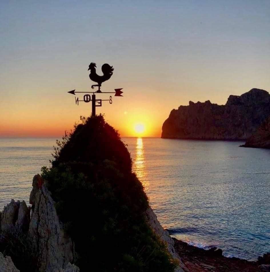 Byggetomt til salgs i Cala San Vicente / Cala Sant Vicenc - € 468 000 (Ref: 9099184)