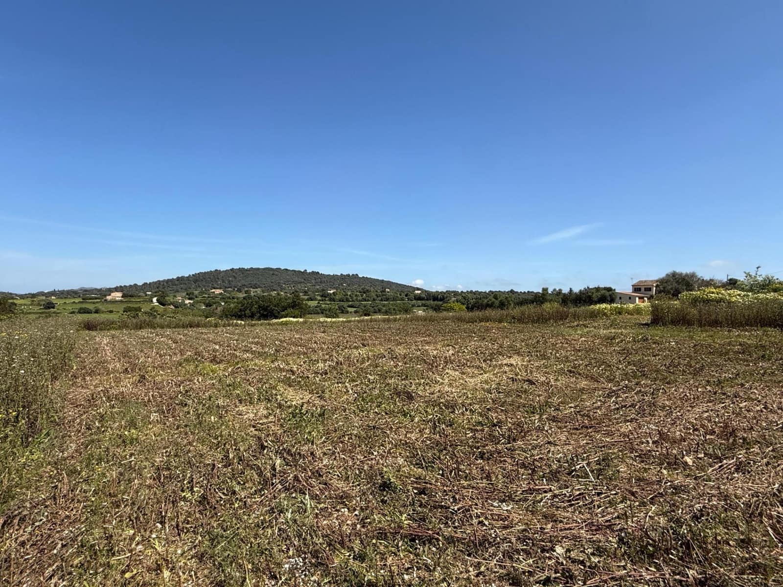 Byggegrund til salg i Manacor - € 550.000 (Ref: 9108792)