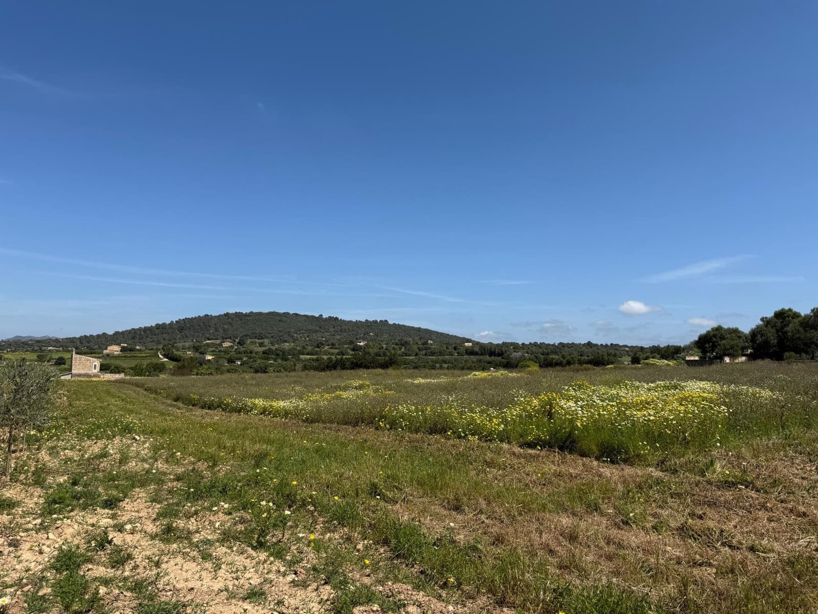 Byggegrund til salg i Manacor - € 550.000 (Ref: 9108792)