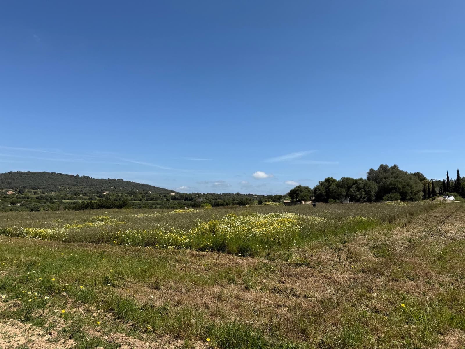 Byggegrund til salg i Manacor - € 550.000 (Ref: 9108792)