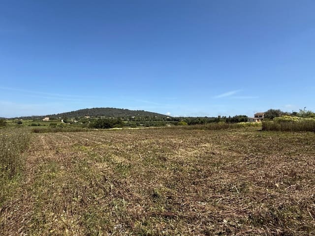 Building Plot for sale in Manacor - € 550,000 (Ref: 9108792)