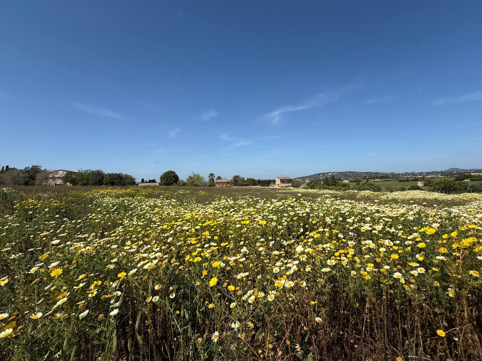 Byggegrund til salg i Manacor - € 550.000 (Ref: 9108792)