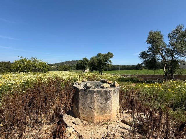 Building Plot for sale in Manacor - € 550,000 (Ref: 9108792)