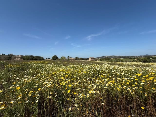 Building Plot for sale in Manacor - € 550,000 (Ref: 9108792)