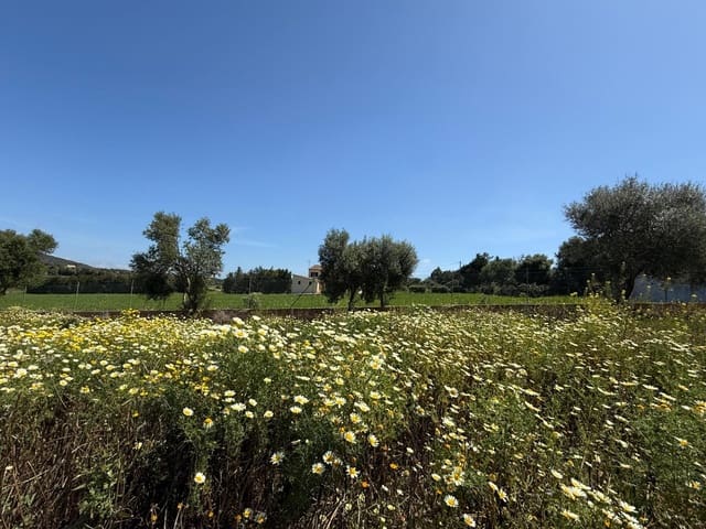 Building Plot for sale in Manacor - € 550,000 (Ref: 9108792)