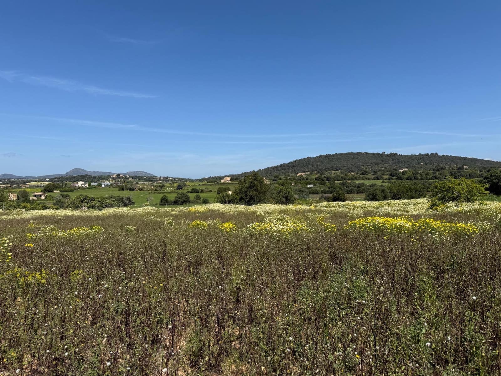 Byggegrund til salg i Manacor - € 550.000 (Ref: 9108792)