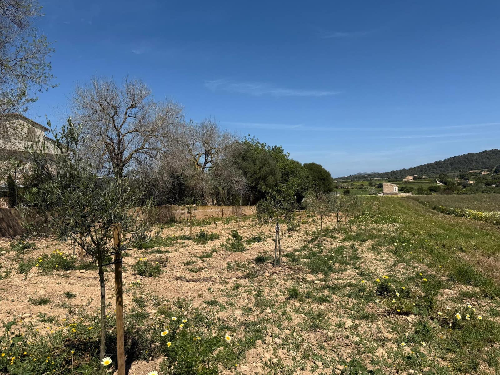 Byggegrund til salg i Manacor - € 550.000 (Ref: 9108792)