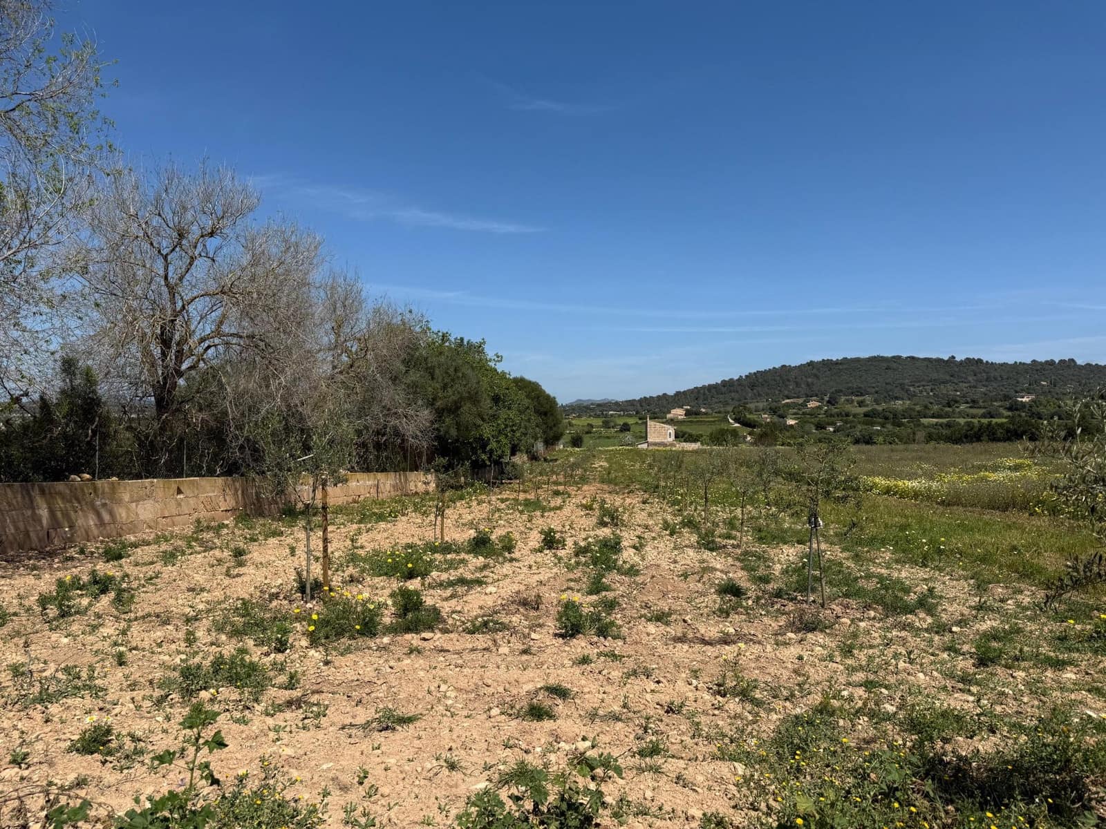 Byggegrund til salg i Manacor - € 550.000 (Ref: 9108792)