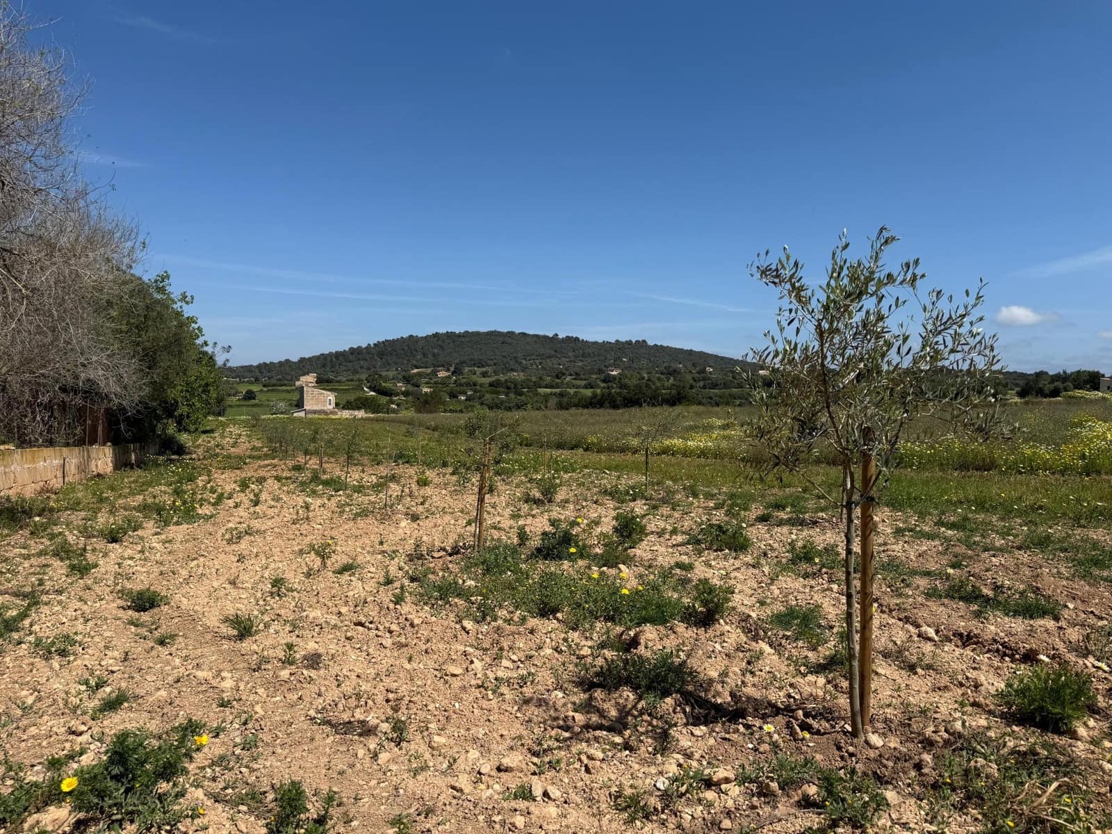 Byggegrund til salg i Manacor - € 550.000 (Ref: 9108792)