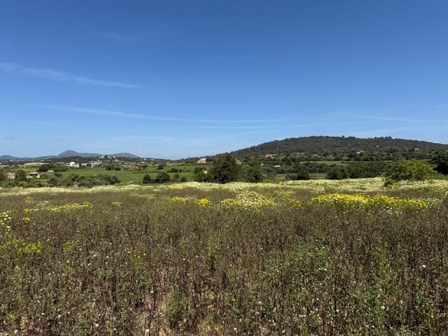 Building Plot for sale in Manacor - € 550,000 (Ref: 9108792)