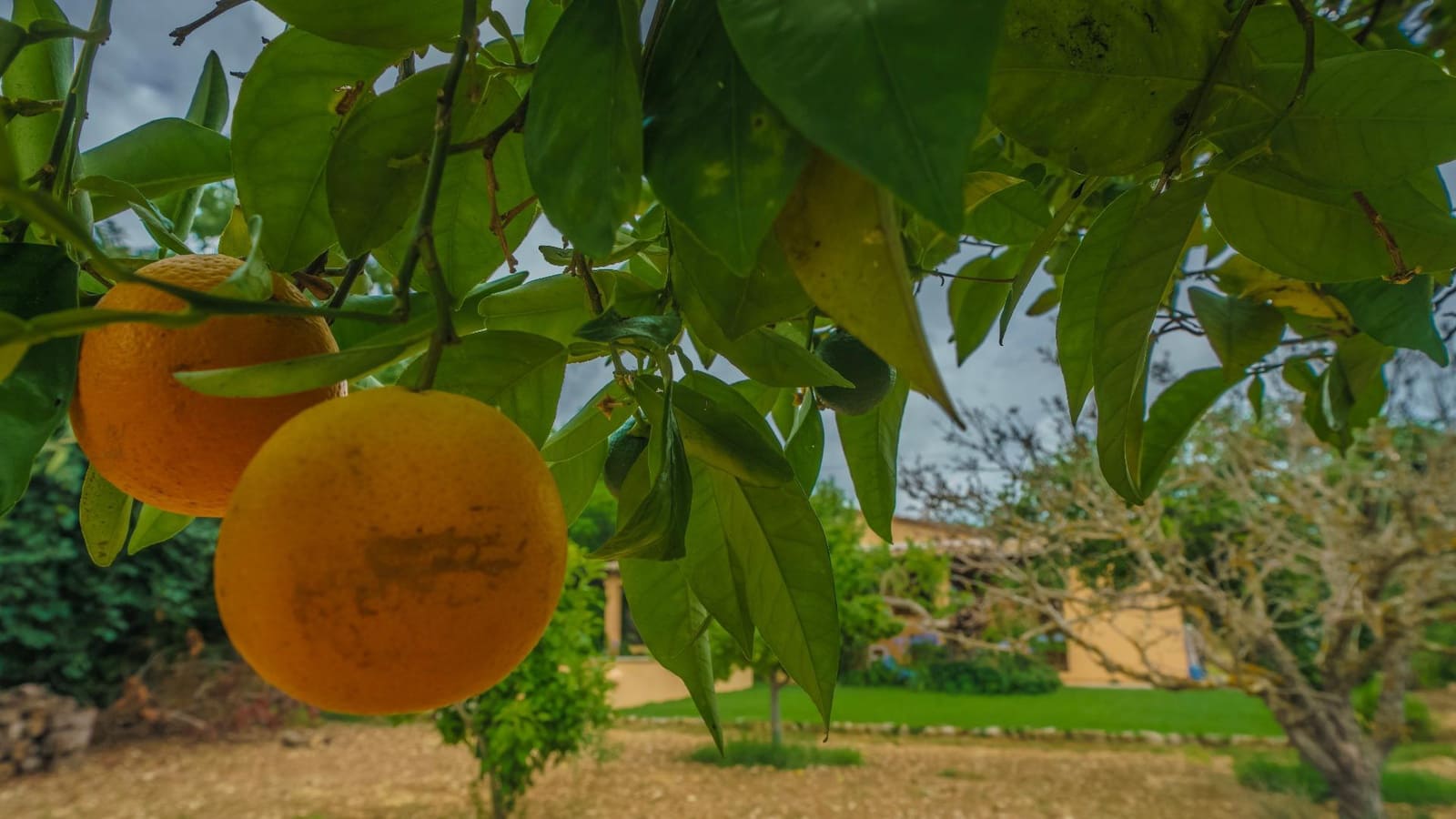 3 slaapkamer Finca/Landhuis te koop in Pollensa / Pollenca met zwembad - € 950.000 (Ref: 9114239)