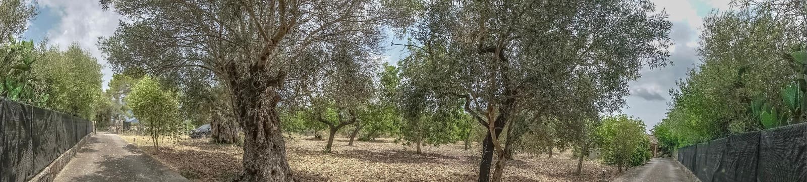 3 slaapkamer Finca/Landhuis te koop in Pollensa / Pollenca met zwembad - € 950.000 (Ref: 9114239)