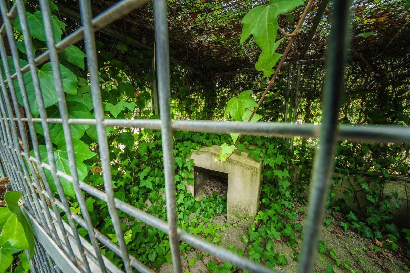 3 slaapkamer Finca/Landhuis te koop in Pollensa / Pollenca met zwembad - € 950.000 (Ref: 9114239)