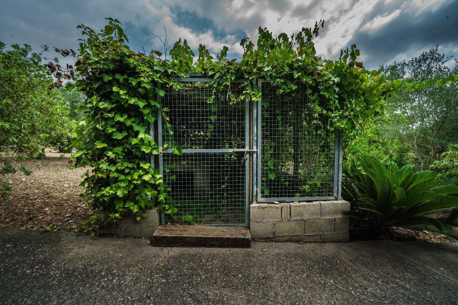 3 slaapkamer Finca/Landhuis te koop in Pollensa / Pollenca met zwembad - € 950.000 (Ref: 9114239)