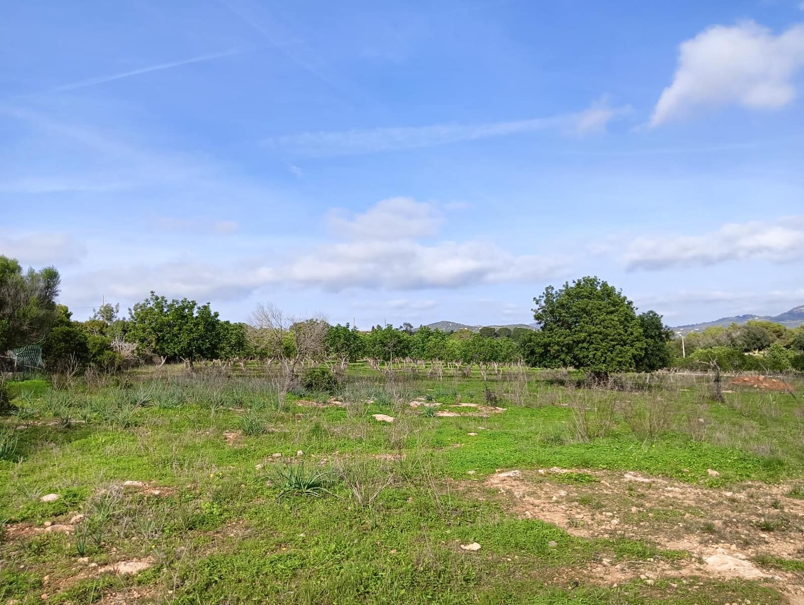 Byggegrund til salg i Manacor - € 369.900 (Ref: 9128334)