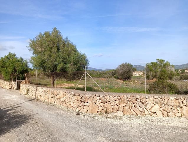 Building Plot for sale in Manacor - € 369,900 (Ref: 9128334)
