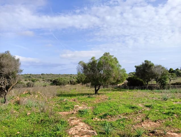 Building Plot for sale in Manacor - € 369,900 (Ref: 9128334)