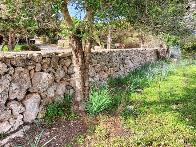 Building Plot for sale in Manacor - € 369,900 (Ref: 9128334)