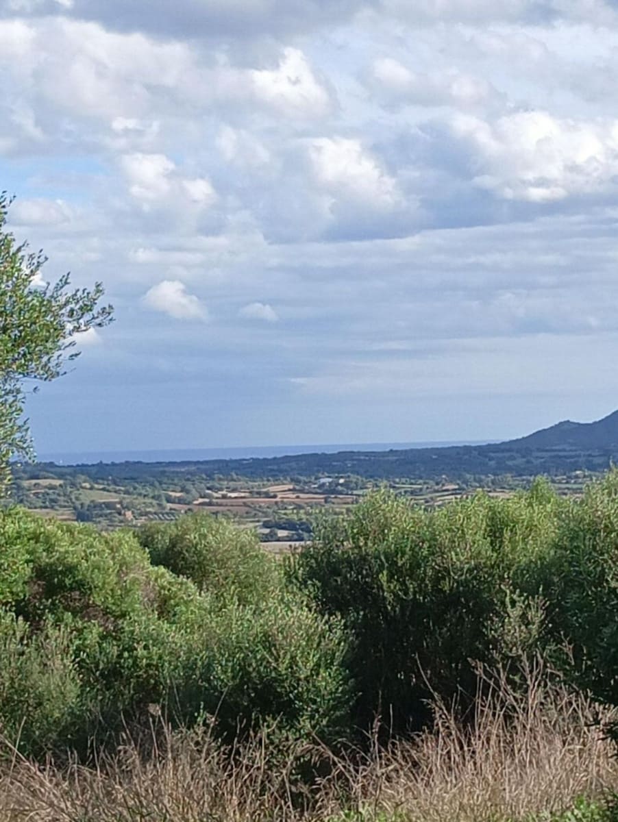 Building Plot for sale in Manacor - € 220,000 (Ref: 9128335)