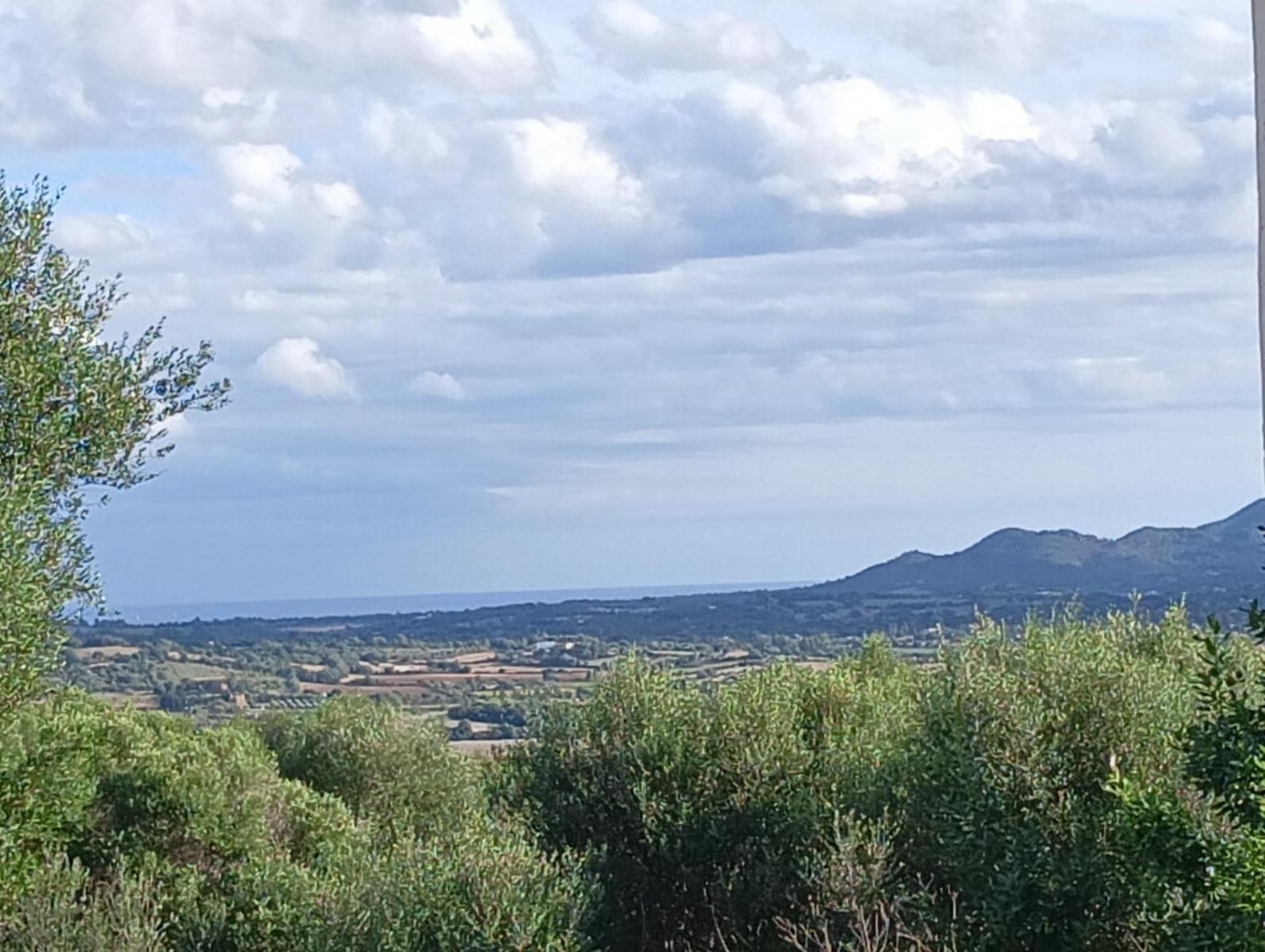 Building Plot for sale in Manacor - € 220,000 (Ref: 9128335)