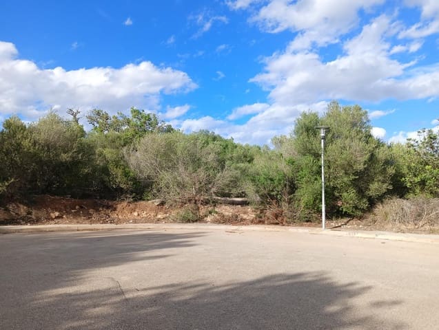Building Plot for sale in Manacor - € 220,000 (Ref: 9128335)