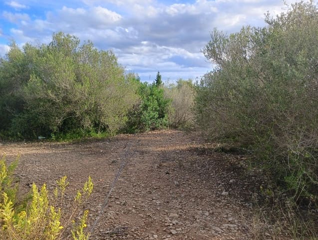 Building Plot for sale in Manacor - € 220,000 (Ref: 9128335)
