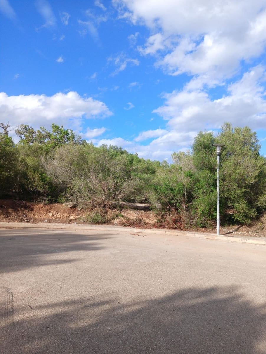 Building Plot for sale in Manacor - € 220,000 (Ref: 9128335)