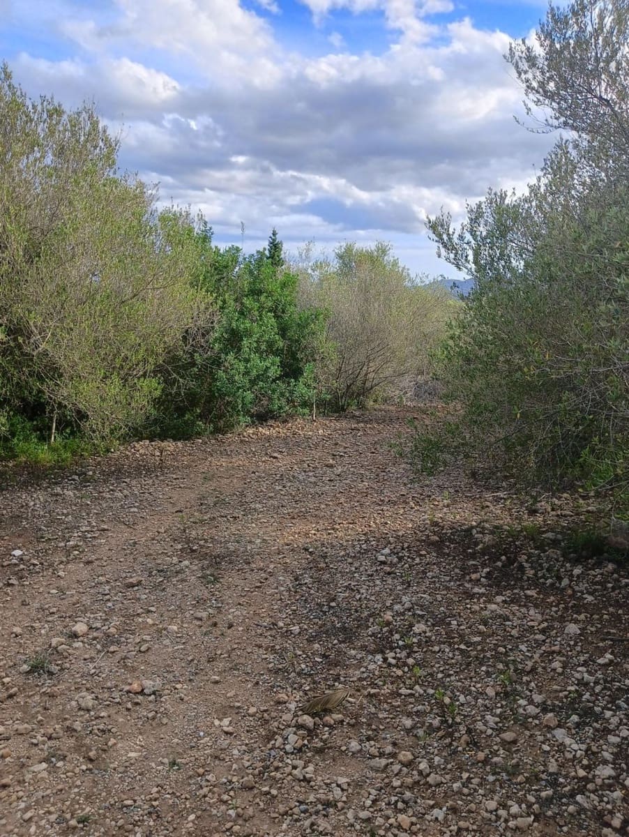 Building Plot for sale in Manacor - € 220,000 (Ref: 9128335)