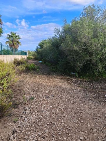 Building Plot for sale in Manacor - € 220,000 (Ref: 9128335)