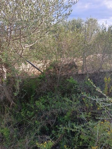 Building Plot for sale in Manacor - € 220,000 (Ref: 9128335)