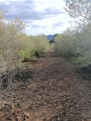 Building Plot for sale in Manacor - € 220,000 (Ref: 9128335)