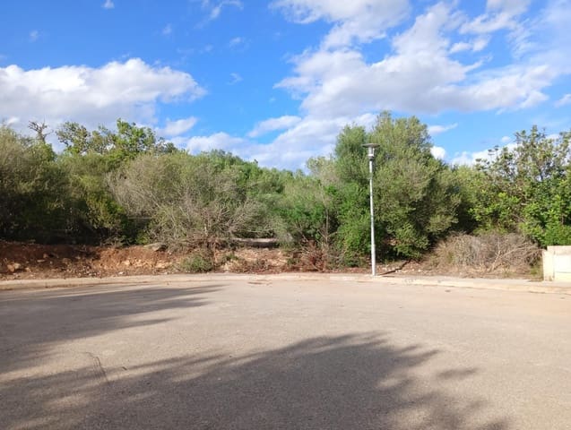 Building Plot for sale in Manacor - € 220,000 (Ref: 9128335)