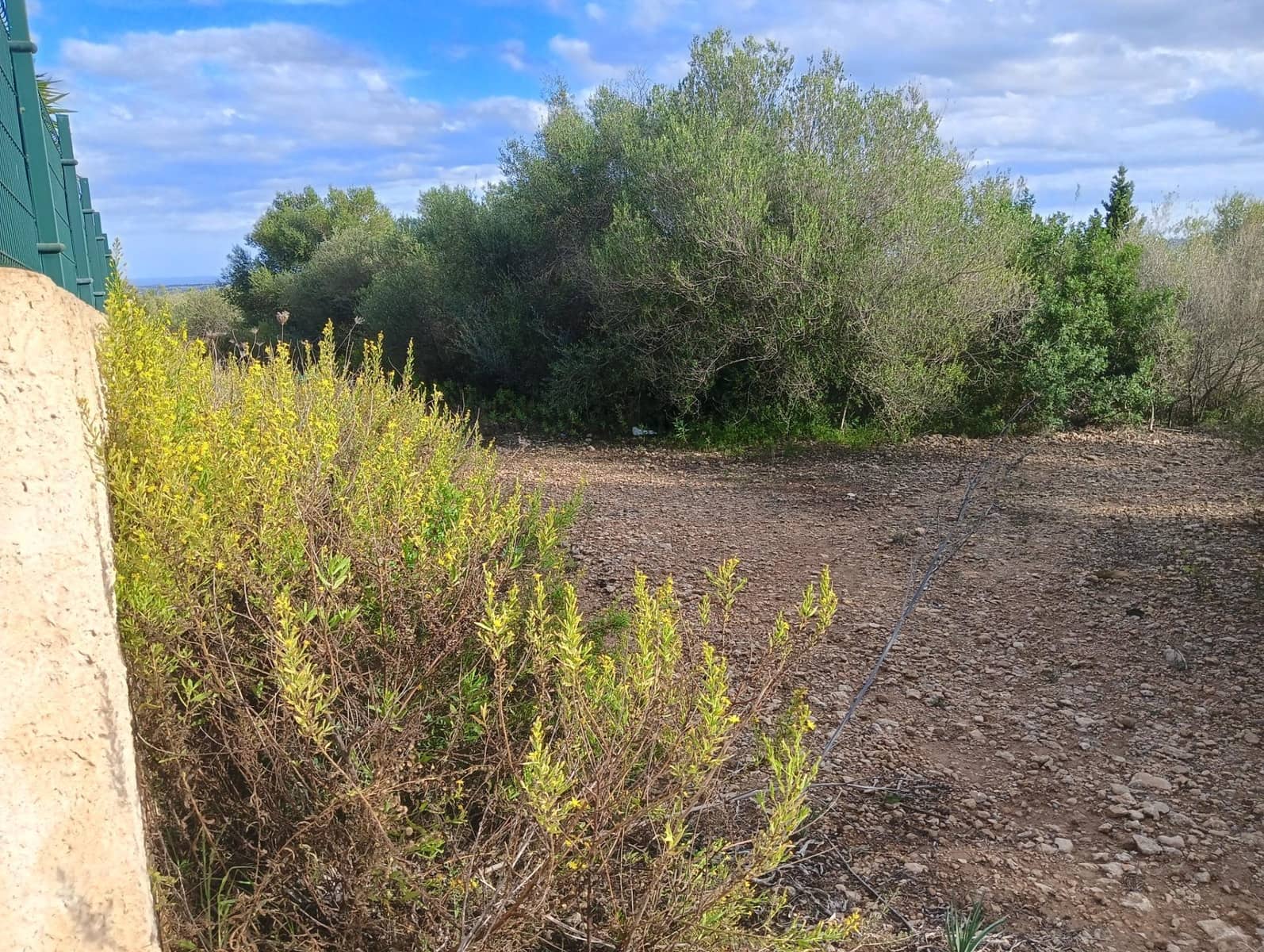 Building Plot for sale in Manacor - € 220,000 (Ref: 9128335)